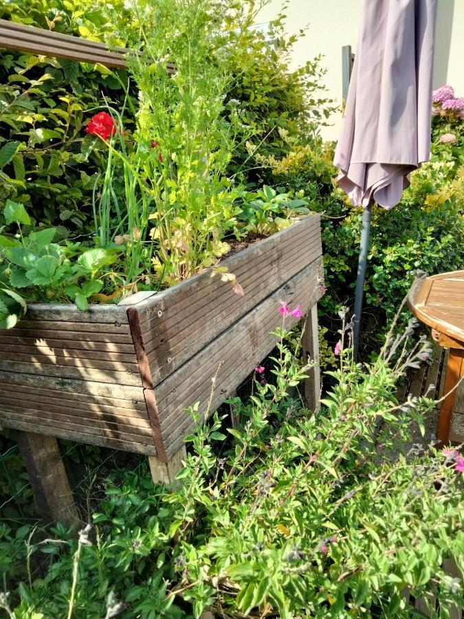 Mer A Pied Vrai Lit Linge Fourni Jardin Brétignolles-sur-Mer Exterior foto